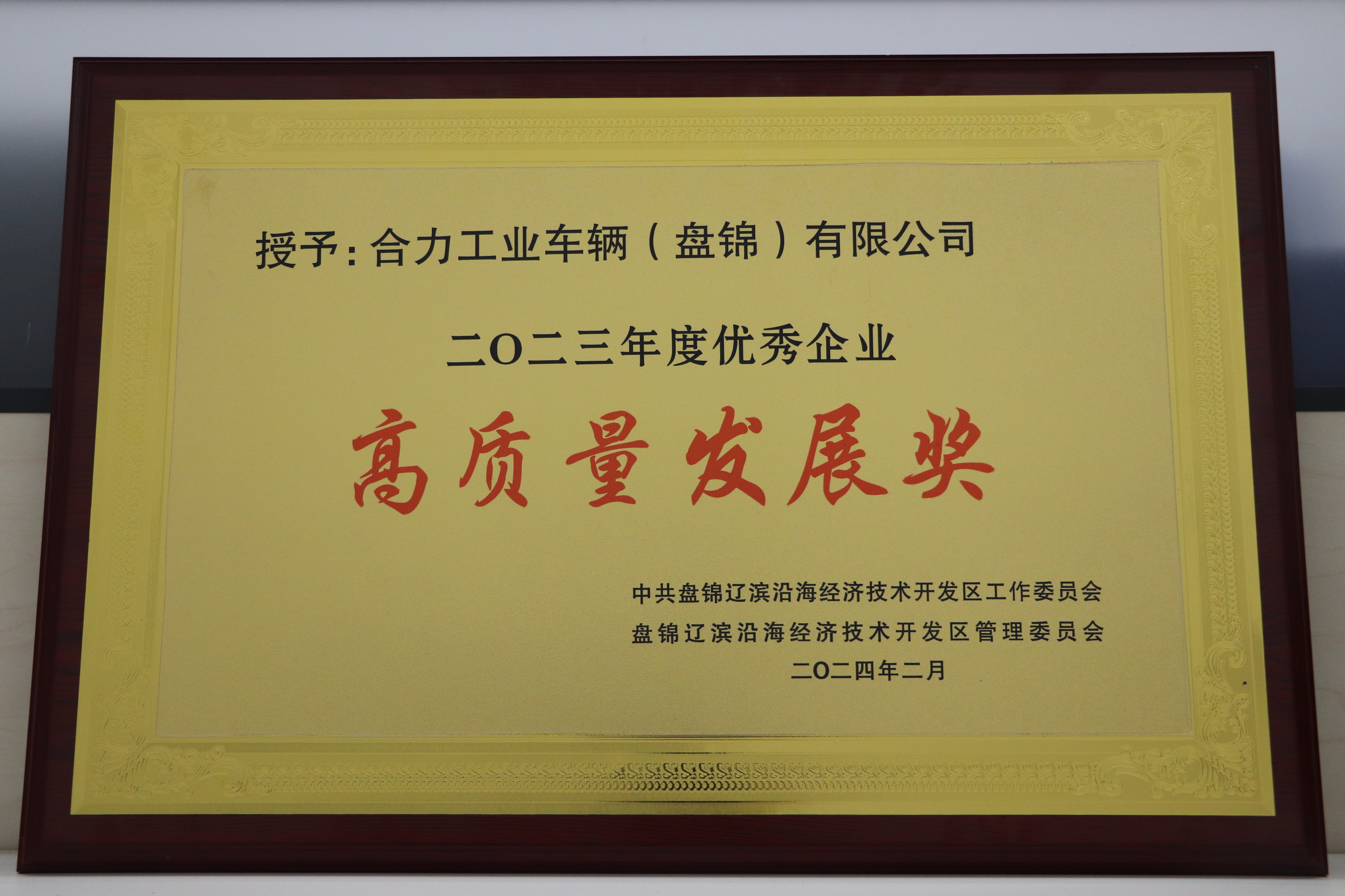 20240220 荣获新区2023年度优秀企业“高质量发展奖”.JPG